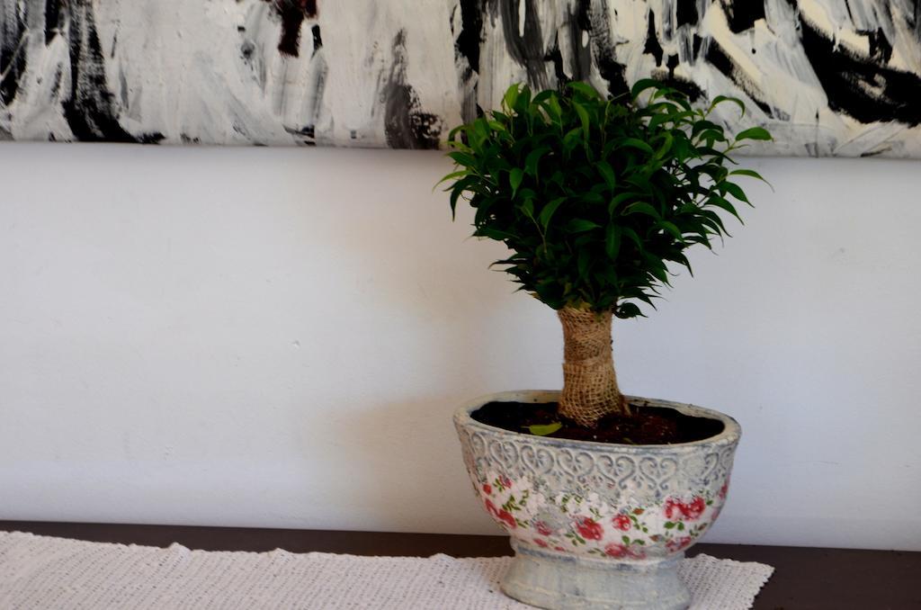 دوبروفينك Apartments Prunus الغرفة الصورة